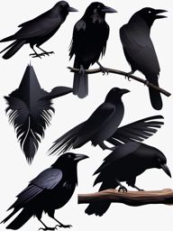 Raven Clipart - Raven with its glossy black feathers , minimal, 2d