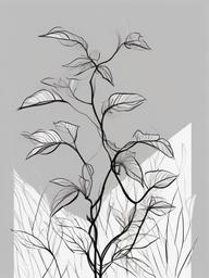 drawing of a climbing plant  minimal rough sketch scribbles,doodles,black and white