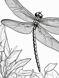 Dragonfly Coloring Page - Fast Winged Hunter  black outline printable coloring page