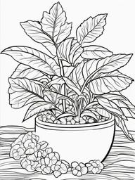 Plant Coloring Pages - Plant with seeds  simple coloring pages