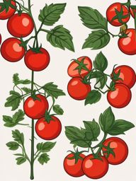 Tomato Vine Clipart - A tomato vine with ripe red tomatoes.  color vector clipart, minimal style