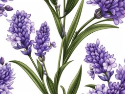 Lavender flower tattoo, Tattoos featuring the fragrant and elegant lavender flower.  vivid colors, white background, tattoo design