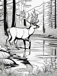 Deer Coloring Pages - Deer drinking water from a sparkling stream  simple coloring pages