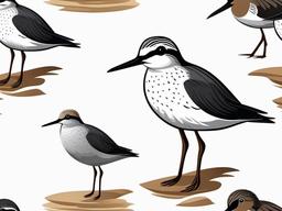 Sandpiper cartoon  minimal, white background