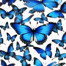 Butterfly Background Wallpaper - blue butterfly with white background  