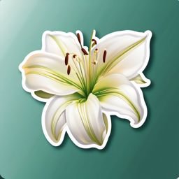 Lily Sticker - Experience the purity and grace of a delicate lily with this enchanting sticker, , sticker vector art, minimalist design