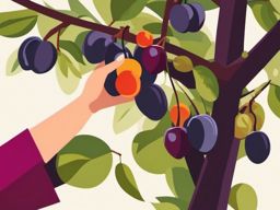 Plum Picking Clipart - Hand picking ripe plums from the tree.  color vector clipart, minimal style