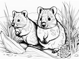 quokkas cute animals coloring page 