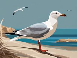 Seagull clipart - Seabird with graceful flight along coastlines, ,color clipart vector style