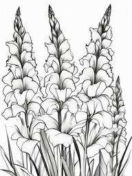 Floral Gladiolus - Tall flower spikes with trumpet-shaped blooms.  outling,coloring pages,black and white