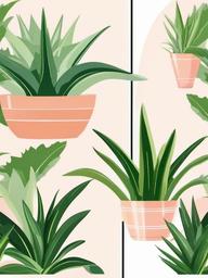 Plant clipart - aloe vera plant in a pot with sunlight  color,minimalist,vector clipart