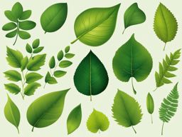 leaf clipart - a detailed and green leaf, a symbol of nature. 