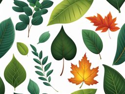 leaf clipart - a detailed and leafy leaf illustration. 