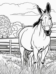 Donkey Coloring Page - Sturdy Farm Animal  black outline printable coloring page