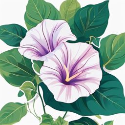 Morning Glory Sticker - Greet the day with the vibrant and delicate beauty of morning glory flowers with this uplifting sticker, , sticker vector art, minimalist design