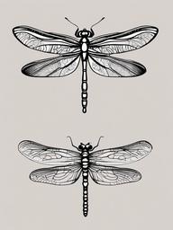 drawing of colorful dragonflies  minimal rough sketch scribbles,doodles,black and white