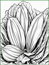 Vegetable Coloring Pages - Bok choy with white stalks  simple coloring pages