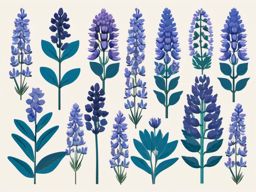 Bleuette Lupine Clip Art - Lupine blooms in shades of blue,  color vector clipart, minimal style