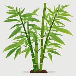 Plant clipart - bamboo growing in a garden  color,minimalist,vector clipart