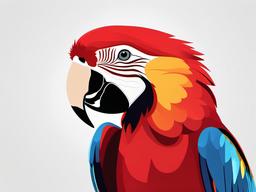 Macaw cartoon  minimal, white background