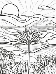 Plant Coloring Pages - Plant in the sunlight  simple coloring pages