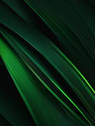 Green Dark Wallpaper 4K  ,mobile iphone background wallpaper