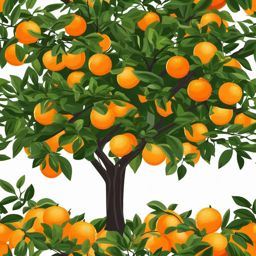 Orange Tree Clipart - An orange tree with vibrant oranges.  color vector clipart, minimal style