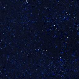 Dark Blue Glitter Wallpaper  ,desktop background wallpaper