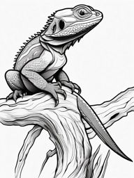 Bearded Dragon Tattoo - Majestic bearded dragon perched on a branch  few color tattoo design, simple line art, design clean white background