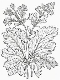 Vegetable Coloring Pages - Parsley with curly edges  simple coloring pages