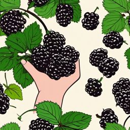 Blackberry Picking Clipart - Hand picking fresh blackberries.  color vector clipart, minimal style