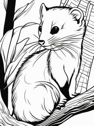 Ferret Coloring Page - Long Slender Mammal  black outline printable coloring page