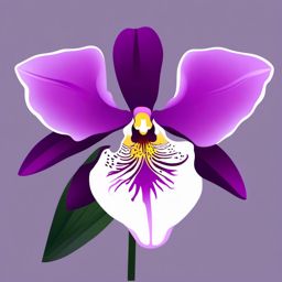 Orchid Clip Art - An exquisite purple orchid in all its beauty,  color vector clipart, minimal style