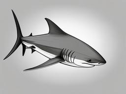 drawing of Thresher shark  minimal rough sketch scribbles,doodles,black and white