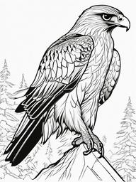 Hawk Coloring Pages - Sharp-Eyed Sky Hunter  minimal black outline printable sheet, coloring page