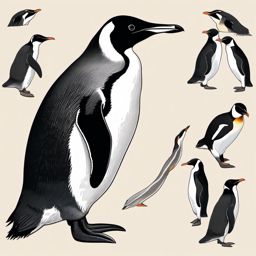 Penguin beak - Focus on the unique beak characteristics of penguins in detailed and informative illustrations.  color vector clipart