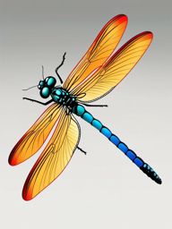 Graceful Dragonfly Close-Up Clip Art - Close-up of a graceful dragonfly,  color vector clipart, minimal style