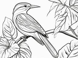 Tropical bird perched on a branch  simple coloring pages