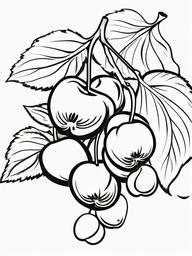 Fruit Coloring Pages - Bunch of cherries with stems and leaves  simple coloring pages