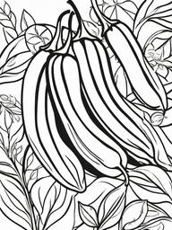 Vegetable Coloring Pages - Jalapeño with seeds inside  simple coloring pages