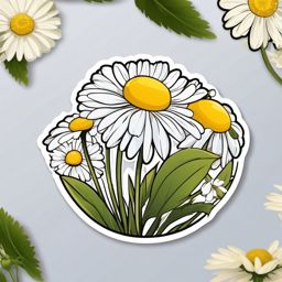 Chamomile Sticker - Embrace tranquility with the soothing and floral notes of chamomile, perfect for herbal infusions, , sticker vector art, minimalist design