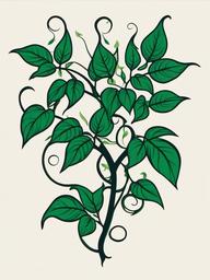 poison ivy vine tattoo  simple vector color tattoo