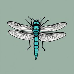 Elegant Dragonfly Close-Up Clip Art - Close-up of an elegant dragonfly,  color vector clipart, minimal style