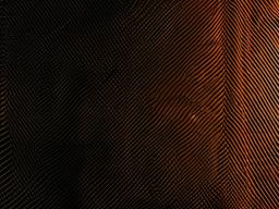 Wallpaper Black Orange  ,desktop background wallpaper