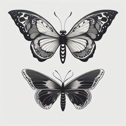 Half Moth Half Butterfly Tattoo - Explore the balance between two transformative creatures with a half-moth, half-butterfly tattoo.  simple vector color tattoo, minimal, white background