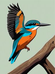 Kingfisher clipart - Colorful bird known for rapid dives while flying, ,color clipart vector style