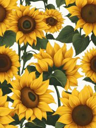 sunflower clipart - facing the sun with golden petals. 