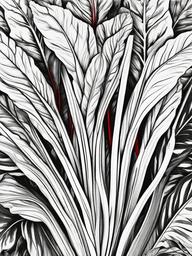 Vegetable Coloring Pages - Swiss chard with red stems  simple coloring pages