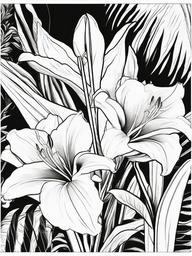 Canna Lily coloring page sheet - Bold canna lilies blooming in a tropical garden.  black outline printable coloring page