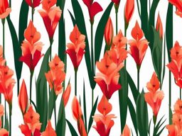 Gladiolus Clip Art - Tall gladiolus spikes with multiple blossoms,  color vector clipart, minimal style